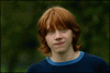 Rupert Grint